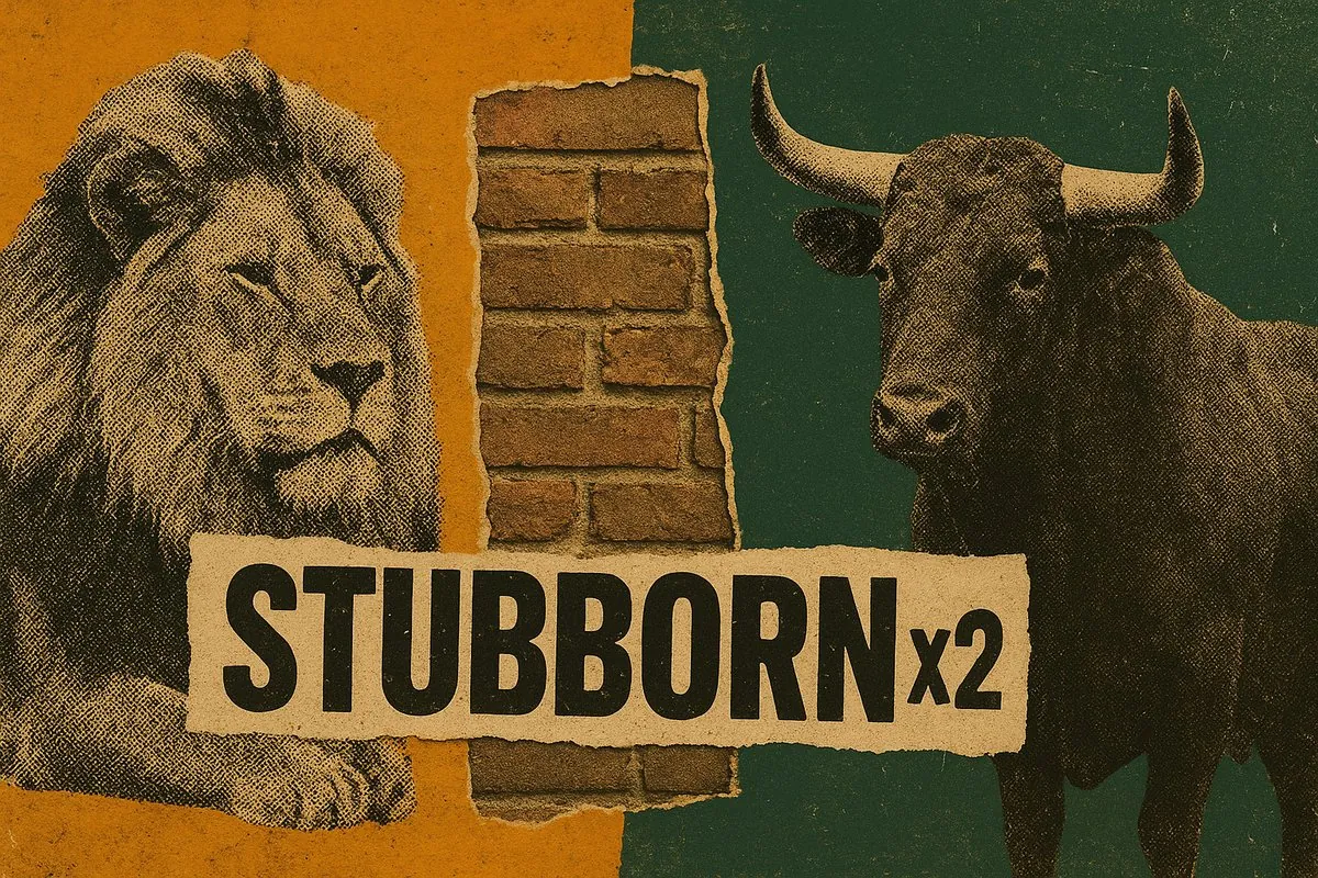 Leo and Taurus compatibility