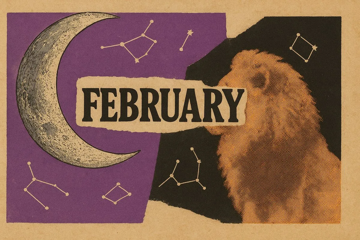 Leo monthly horoscope February 2026